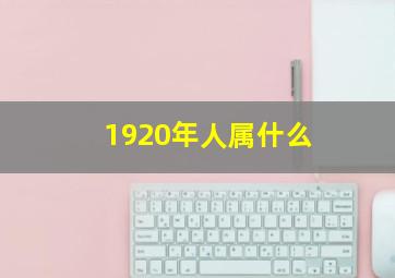 1920年人属什么