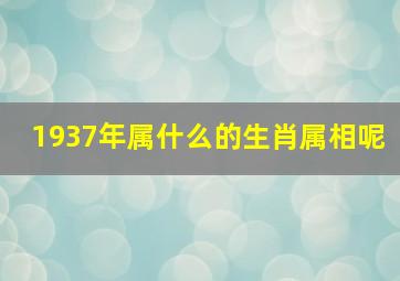 1937年属什么的生肖属相呢