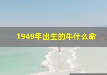 1949年出生的牛什么命