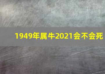 1949年属牛2021会不会死