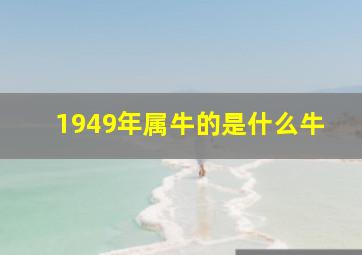 1949年属牛的是什么牛