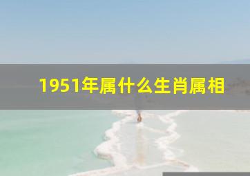 1951年属什么生肖属相