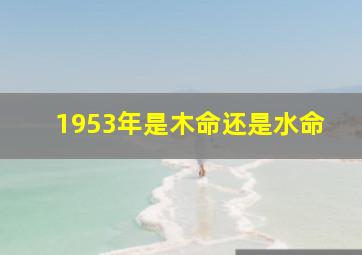 1953年是木命还是水命