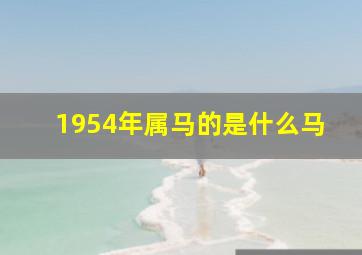 1954年属马的是什么马