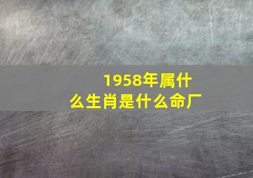 1958年属什么生肖是什么命厂