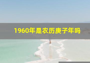 1960年是农历庚子年吗