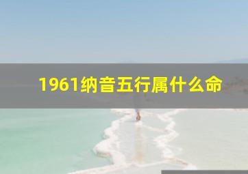 1961纳音五行属什么命