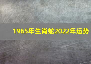 1965年生肖蛇2022年运势