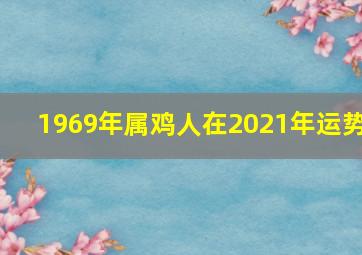 1969年属鸡人在2021年运势