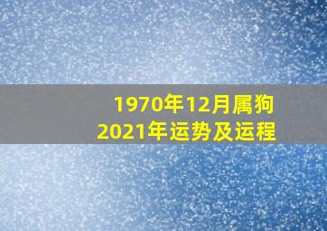 1970年12月属狗2021年运势及运程