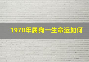 1970年属狗一生命运如何