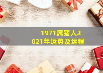 1971属猪人2021年运势及运程