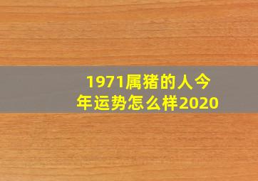 1971属猪的人今年运势怎么样2020