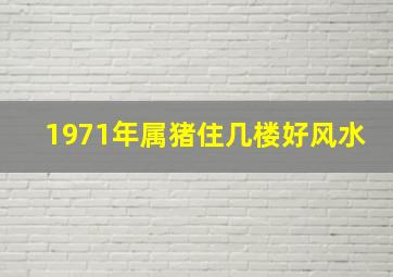 1971年属猪住几楼好风水