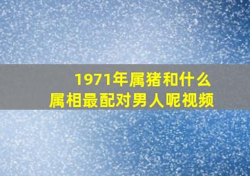 1971年属猪和什么属相最配对男人呢视频