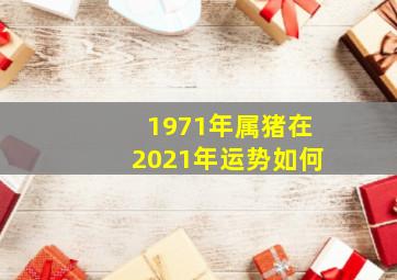 1971年属猪在2021年运势如何