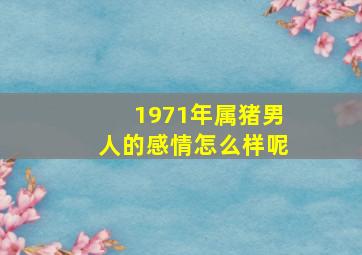 1971年属猪男人的感情怎么样呢