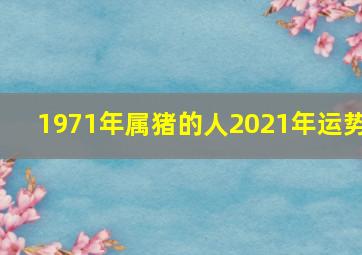 1971年属猪的人2021年运势