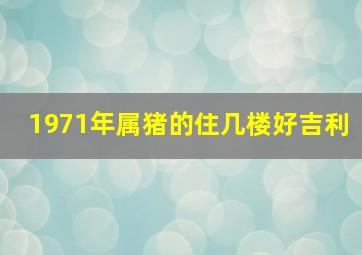 1971年属猪的住几楼好吉利