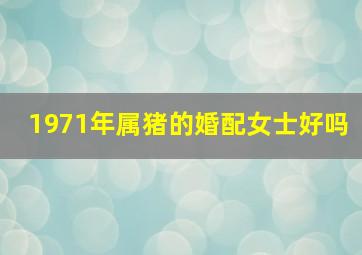 1971年属猪的婚配女士好吗