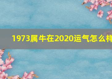 1973属牛在2020运气怎么样