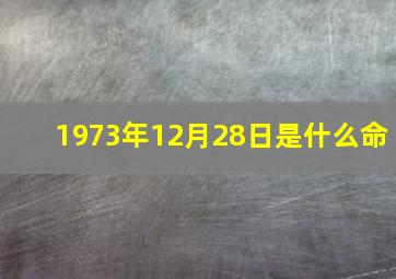 1973年12月28日是什么命