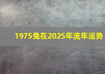 1975兔在2025年流年运势