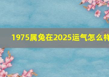 1975属兔在2025运气怎么样