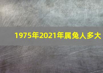 1975年2021年属兔人多大