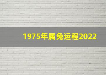 1975年属兔运程2022