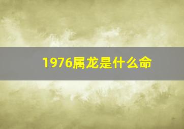 1976属龙是什么命