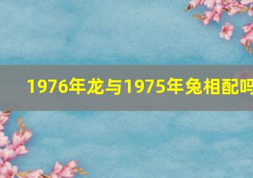 1976年龙与1975年兔相配吗