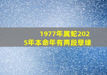 1977年属蛇2025年本命年有两段孽缘