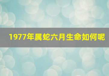 1977年属蛇六月生命如何呢