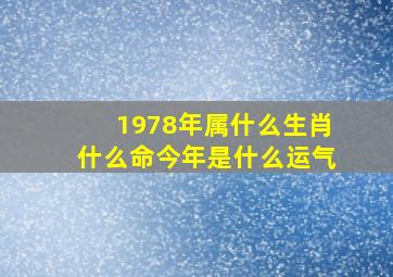 1978年属什么生肖什么命今年是什么运气