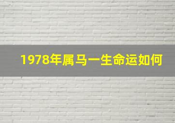 1978年属马一生命运如何