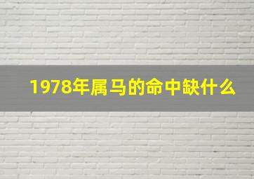 1978年属马的命中缺什么