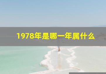 1978年是哪一年属什么