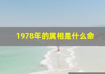 1978年的属相是什么命