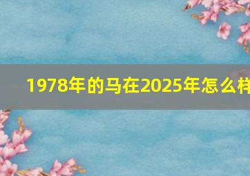 1978年的马在2025年怎么样