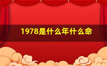 1978是什么年什么命