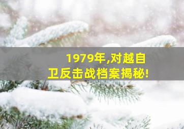 1979年,对越自卫反击战档案揭秘!