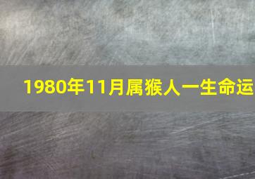 1980年11月属猴人一生命运