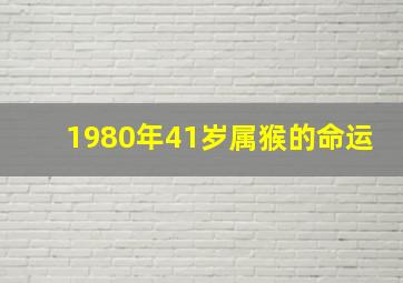 1980年41岁属猴的命运