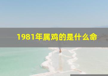 1981年属鸡的是什么命