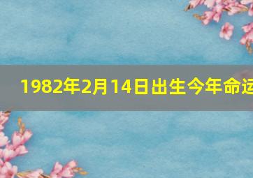 1982年2月14日出生今年命运