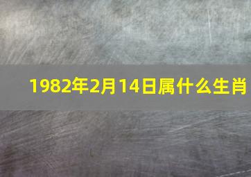 1982年2月14日属什么生肖