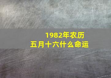 1982年农历五月十六什么命运