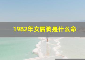 1982年女属狗是什么命