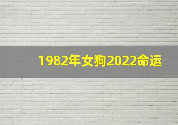 1982年女狗2022命运